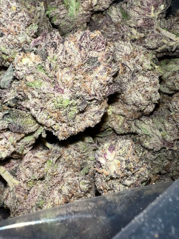 Purple Tuna kush    SALE**