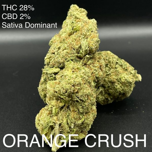 Orange Crush Sativa Dominant