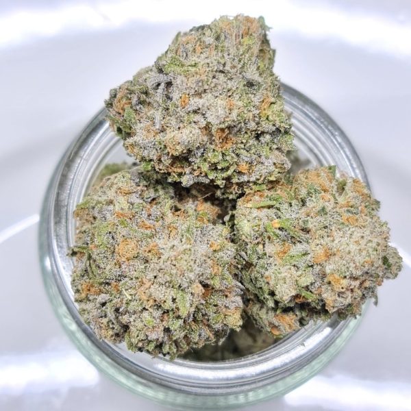 SUNSHINE DAYDREAM BUDGET QUADS BC BUD $120/OZ $200/2OZ