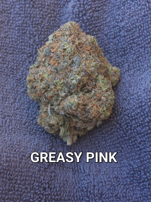 GREASY PINK