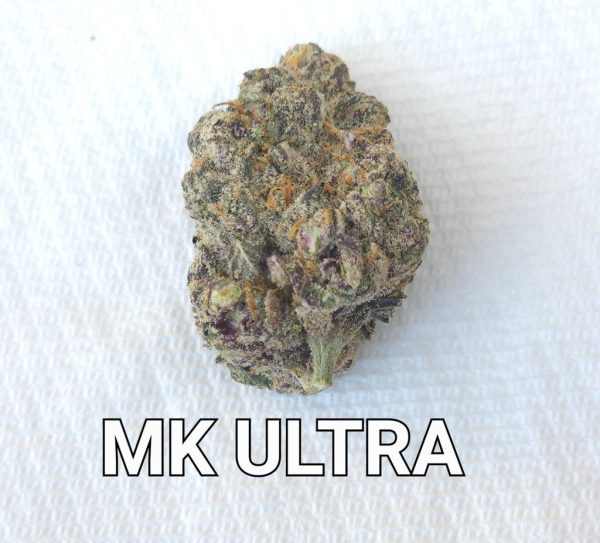 MK ULTRA