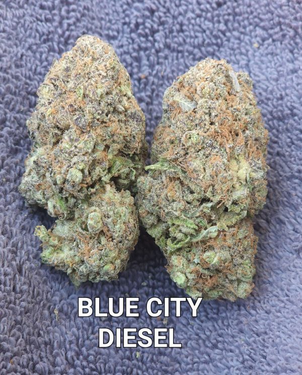 BLUE CITY DIESEL ⭐️⭐️⭐️⭐️