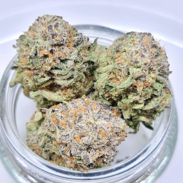 CITRUS SUNSHINE HAZE SUPER BUGET QUADS BC BUD $140/OZ $80/HALF OZ