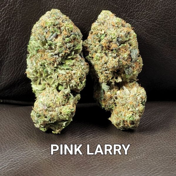 PINK LARRY OG