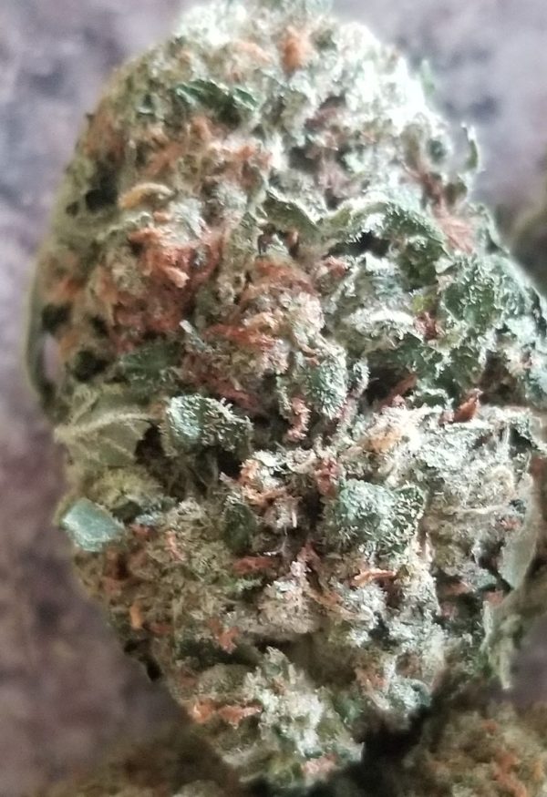 Bubba kush