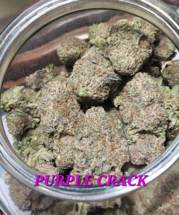 PURPLE CRACK⭐️⭐️⭐️⭐️