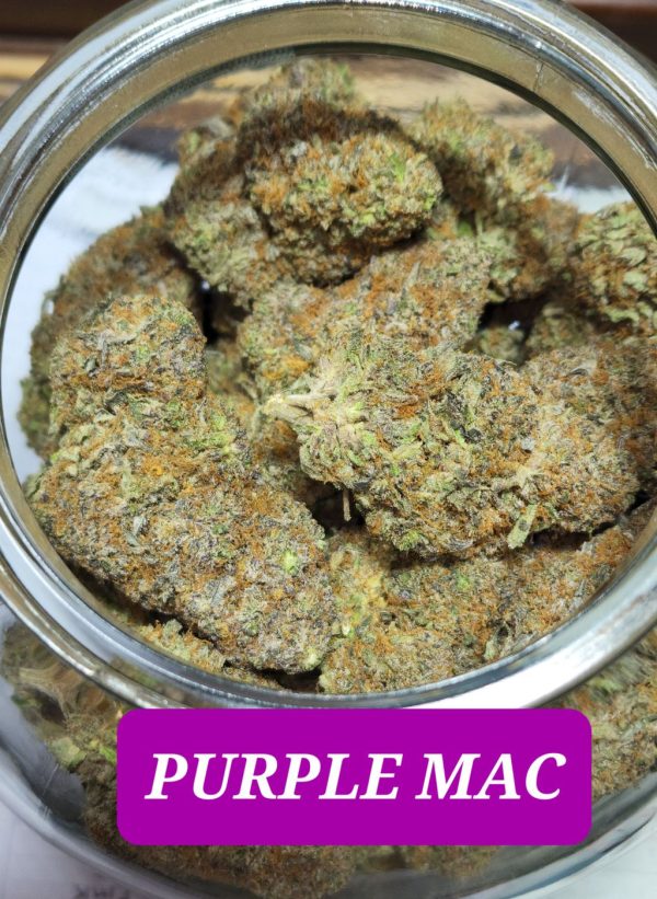 PURPLE MAC1