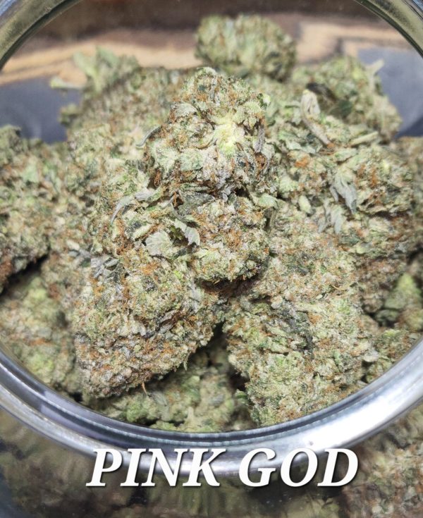 PINK GOD(⭐️⭐️⭐️⭐️)