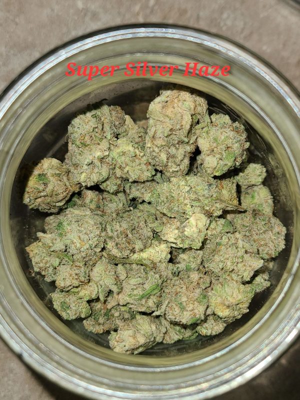 Super Silver Haze (AAAA +)