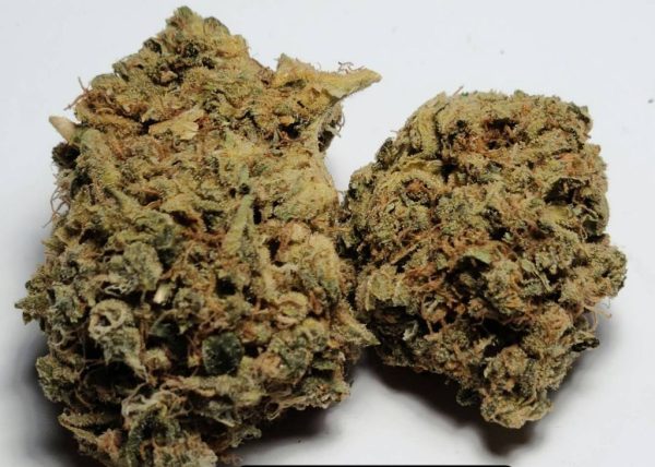 3⭐Biscotti SPECIAL DEAL** ️BEST $100oz in LONDON! ️**