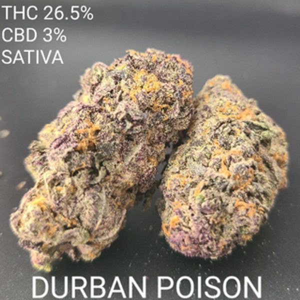 DURBAN POISON