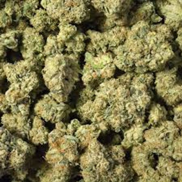 Tuesday HALF OUNCE sale