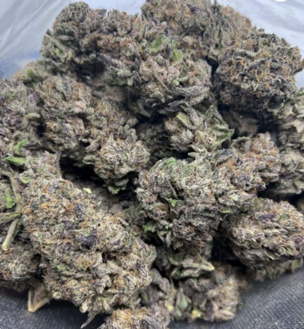 Blurberry *Hybrid*