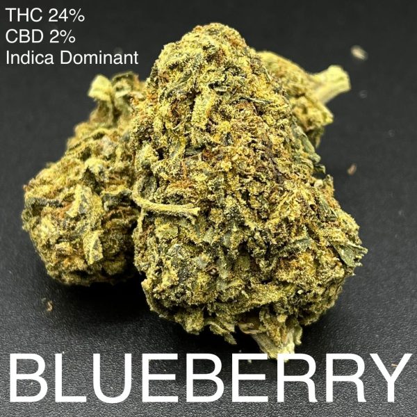 Blueberry Indica Dominant