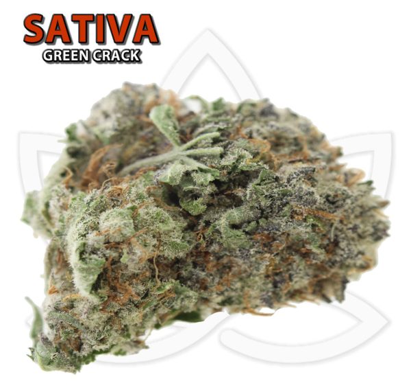 Sour Diesel *Sativa*