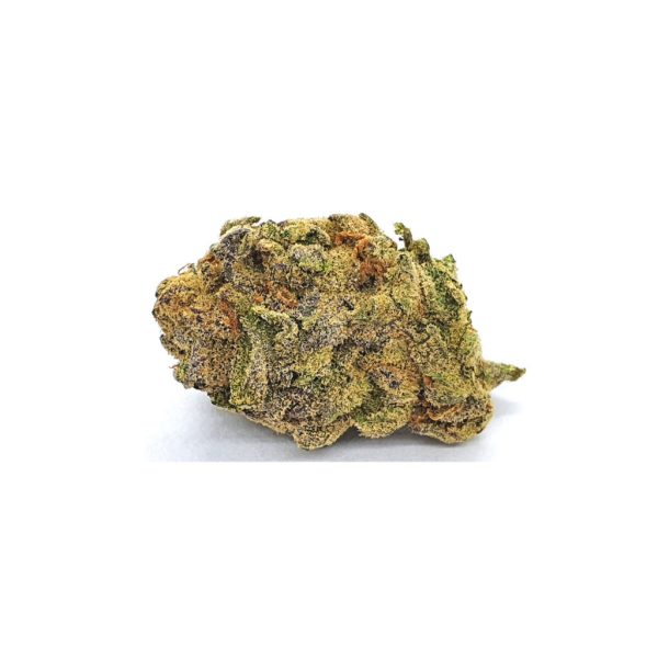 Larry Bird (AAA+) Hybrid