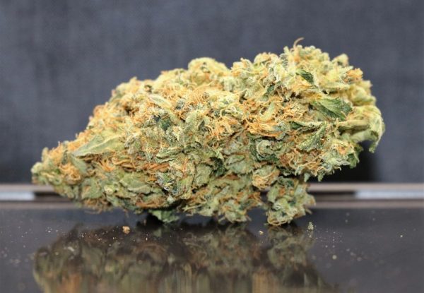 Gorilla Glue (AAA) $69/oz