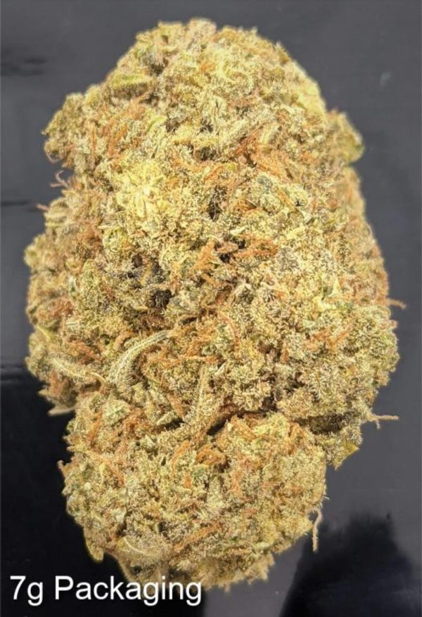 2. KING TUT (REG PRICE 195 + 1 OZ FREE) OR (1 OZ 40% OFF = 110 OZ)