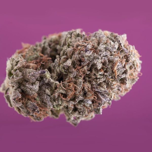 Purple Coconut (Indica-33%)AAAA+