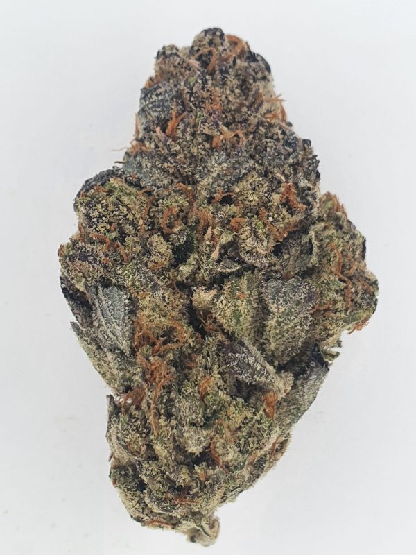 Purple Kush *Hybrid*