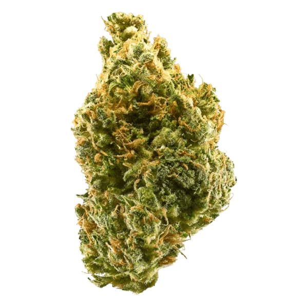 Tangie (AA) Sativa