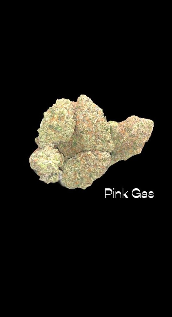 Mr. Pink *Indica*