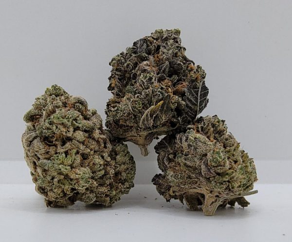 Blueberry Headband AAAA Super Sale