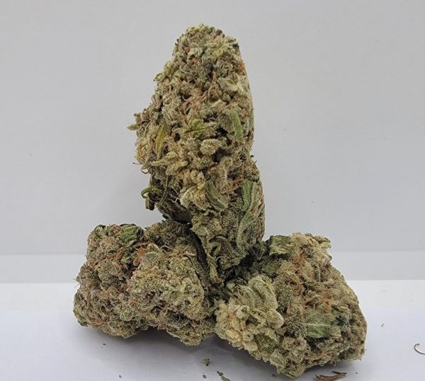 GriZ Paw Kush AAAA Super Sale