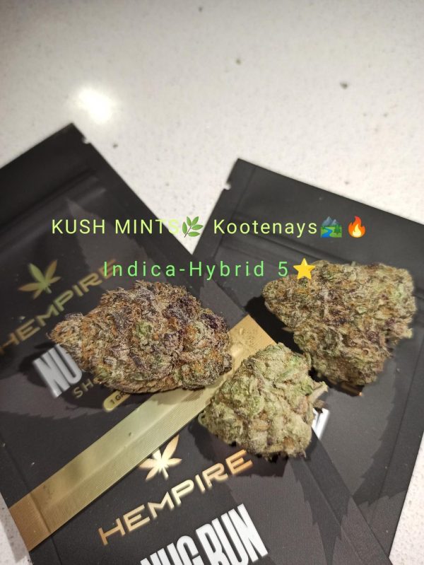 *5⭐Kush Mints  B.C⛰️Craft Exotics!