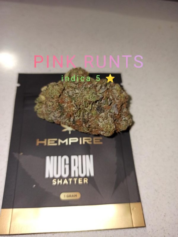 *5⭐Pink Runts