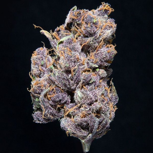 4⭐Purple Wedding Crashers  DEAL $200oz!