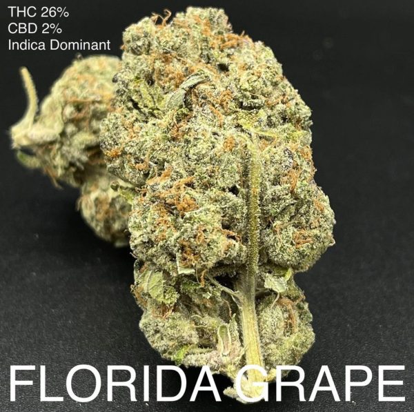 FLORIDA GRAPE AAAAA+ INDICA DOMINATE