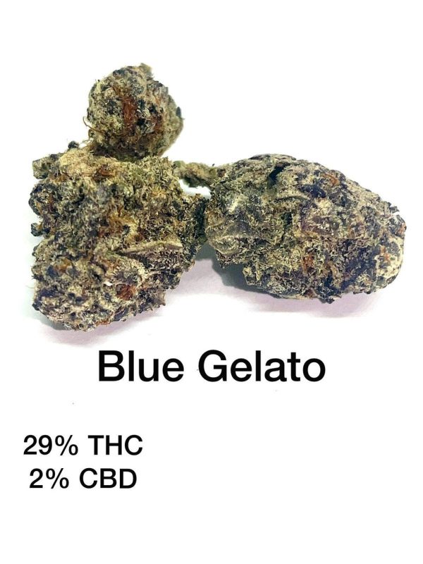 BLUE GELATO AAAAA+ INDICA DOMINATE